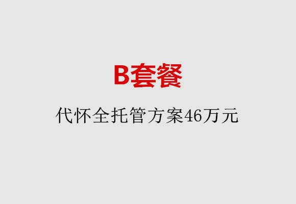 太原B套餐：代怀全托管方案46万元